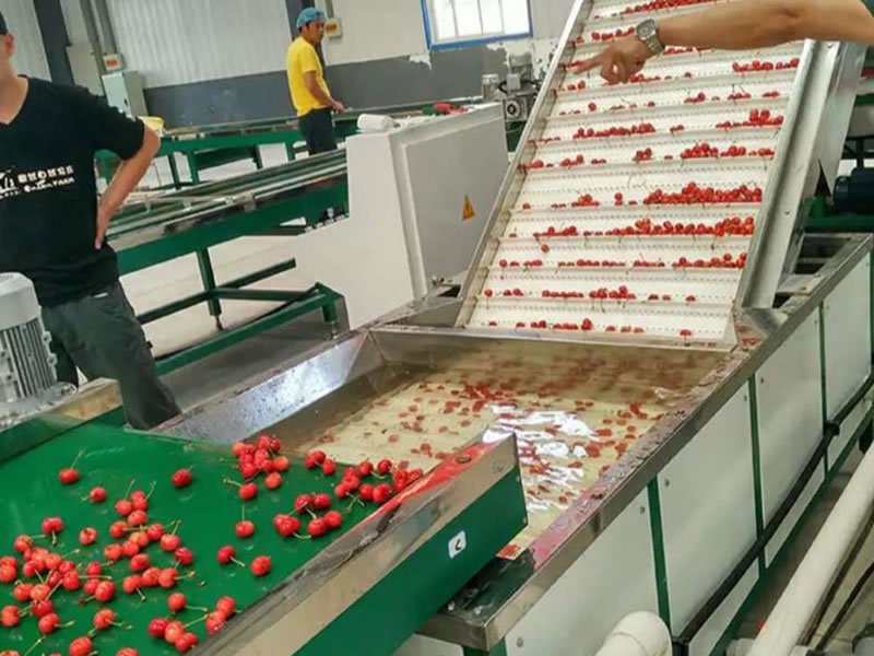 Fruit drying site